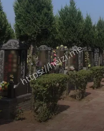 河南公墓有组织冲击事件